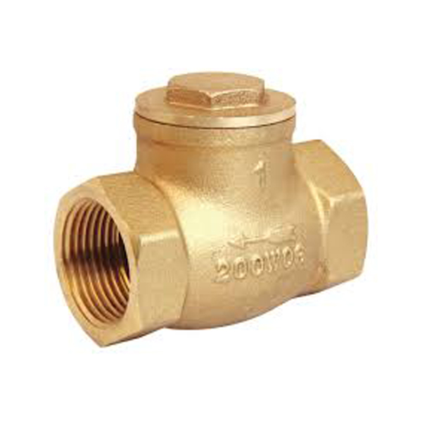 Check Valve – whtraders